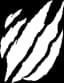 Tsume